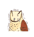 Owls of Thailand（個別スタンプ：39）