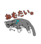ひぐねこ（個別スタンプ：4）