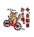 ひぐねこ（個別スタンプ：5）