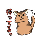 ひぐねこ（個別スタンプ：9）