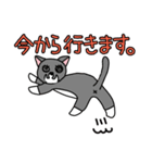 ひぐねこ（個別スタンプ：11）