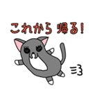 ひぐねこ（個別スタンプ：12）