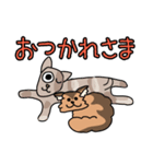 ひぐねこ（個別スタンプ：16）