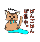 ひぐねこ（個別スタンプ：19）