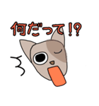 ひぐねこ（個別スタンプ：35）