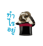 FuFu's family DukDik（個別スタンプ：8）