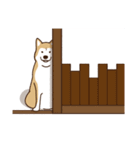 柴犬マメ（待て！ver）（個別スタンプ：8）