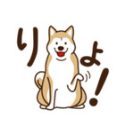 柴犬マメ（待て！ver）（個別スタンプ：14）