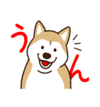 柴犬マメ（待て！ver）（個別スタンプ：18）