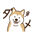 柴犬マメ（待て！ver）（個別スタンプ：19）