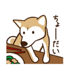 柴犬マメ（待て！ver）（個別スタンプ：28）