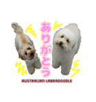 あづき・モナカ（個別スタンプ：3）