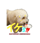 あづき・モナカ（個別スタンプ：5）