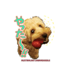 あづき・モナカ（個別スタンプ：6）
