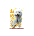 あづき・モナカ（個別スタンプ：8）