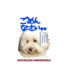 あづき・モナカ（個別スタンプ：10）