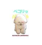 あづき・モナカ（個別スタンプ：11）