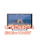 よくあるテロップ（個別スタンプ：6）
