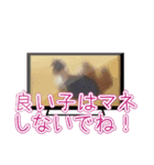 よくあるテロップ（個別スタンプ：7）