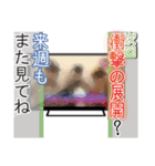 よくあるテロップ（個別スタンプ：10）