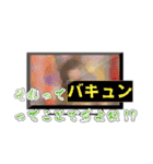 よくあるテロップ（個別スタンプ：14）
