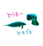 manatee ＆ turtle（個別スタンプ：2）