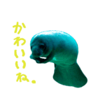 manatee ＆ turtle（個別スタンプ：4）