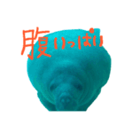 manatee ＆ turtle（個別スタンプ：5）