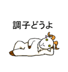 wierd goat（個別スタンプ：20）