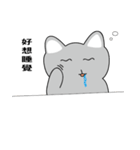 Shinee cat（個別スタンプ：1）