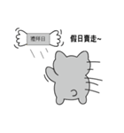 Shinee cat（個別スタンプ：3）