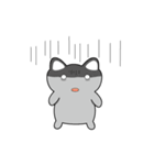 Shinee cat（個別スタンプ：4）
