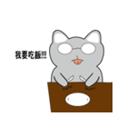Shinee cat（個別スタンプ：6）
