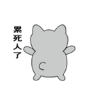 Shinee cat（個別スタンプ：7）