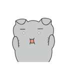 Shinee cat（個別スタンプ：8）