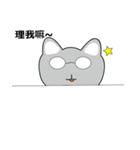 Shinee cat（個別スタンプ：16）