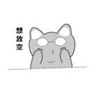 Shinee cat（個別スタンプ：17）