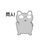 Shinee cat（個別スタンプ：19）
