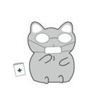 Shinee cat（個別スタンプ：21）