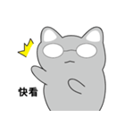 Shinee cat（個別スタンプ：23）