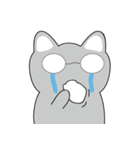 Shinee cat（個別スタンプ：25）