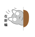 Shinee cat（個別スタンプ：26）