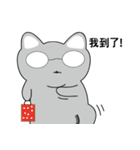 Shinee cat（個別スタンプ：31）