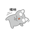 Shinee cat（個別スタンプ：35）