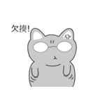 Shinee cat（個別スタンプ：40）