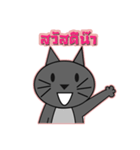 Cute Cat For You（個別スタンプ：11）