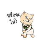 Cat Army（個別スタンプ：3）