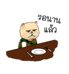 Cat Army（個別スタンプ：6）