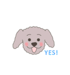 英語でおしゃべりトイプードル（個別スタンプ：2）