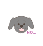 英語でおしゃべりトイプードル（個別スタンプ：3）